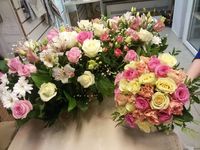 Купить элитные розы спб мелким оптом.